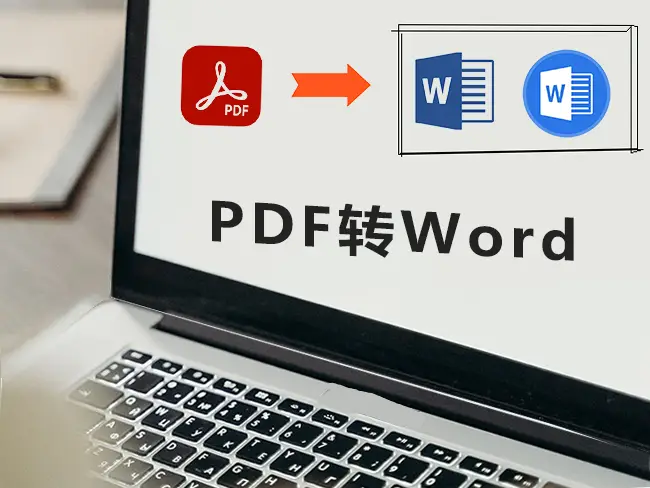 新手必看，WPS如何快速将PDF转Word？