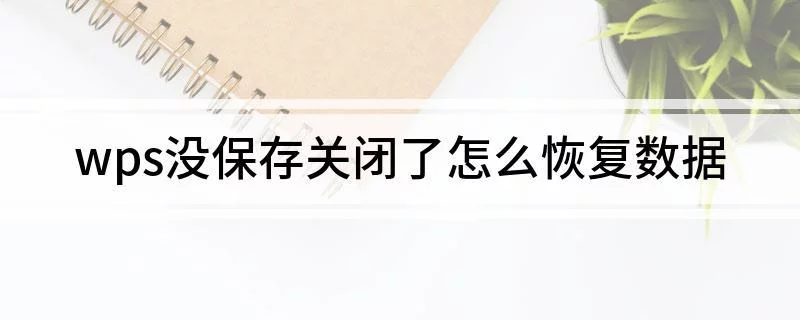 WPS 没保存怎么找回？